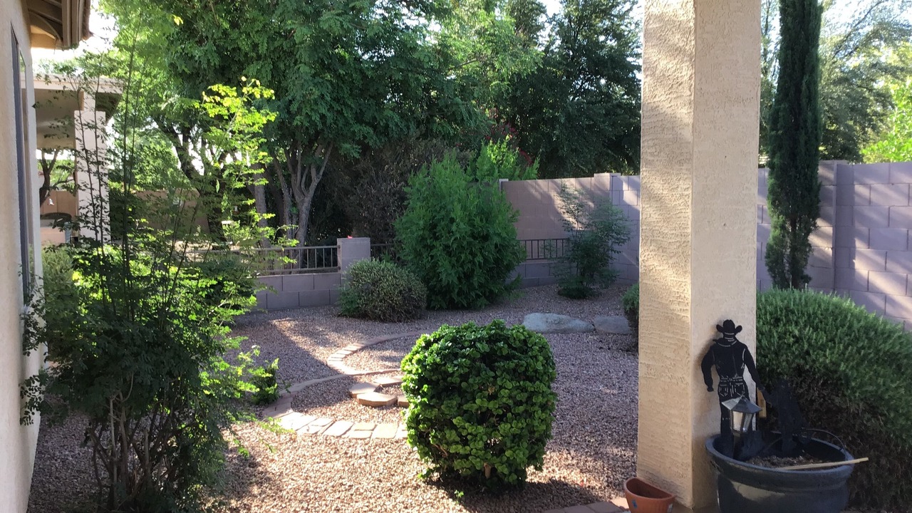 Photo of Outdoor in Springfield Lakes