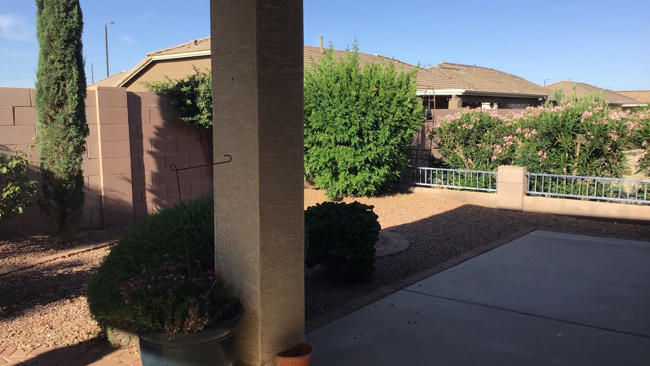 Photo of Outdoor in Springfield Lakes