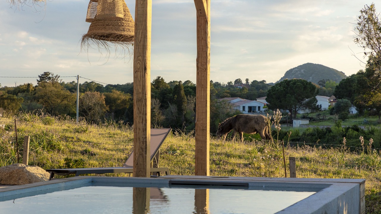 Photo of Outdoor in Figari