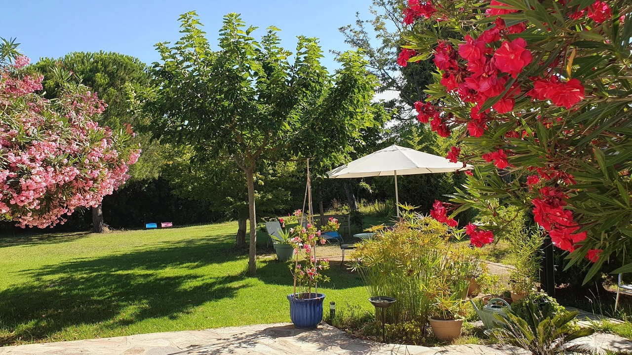 Photo of Outdoor in San-Giuliano