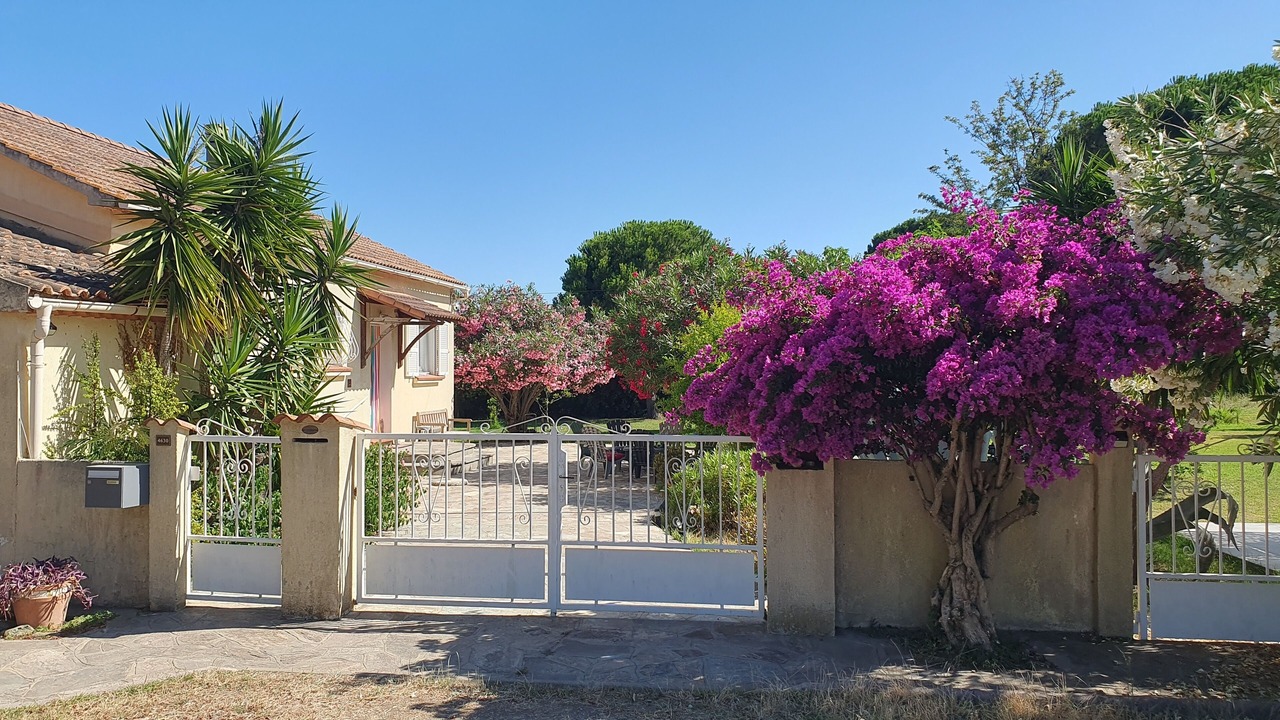 Photo of Outdoor in San-Giuliano