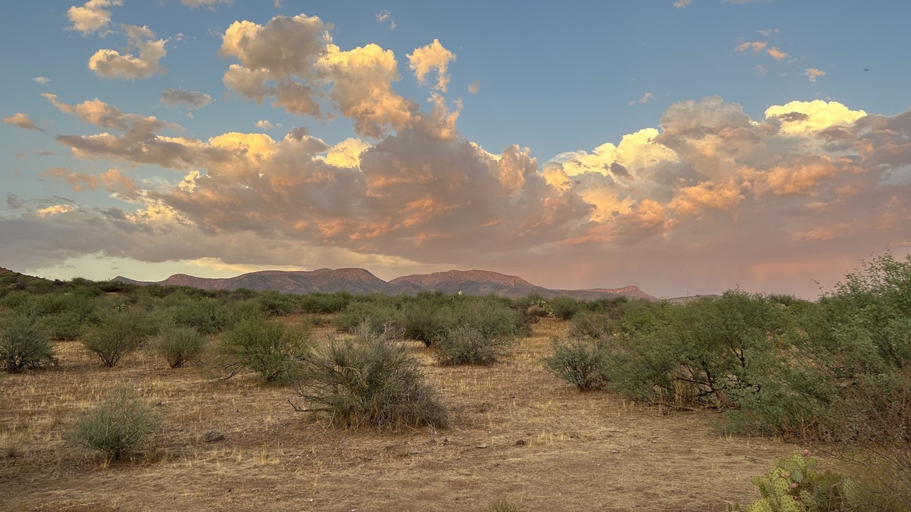 Photo of Others in Tonto Basin