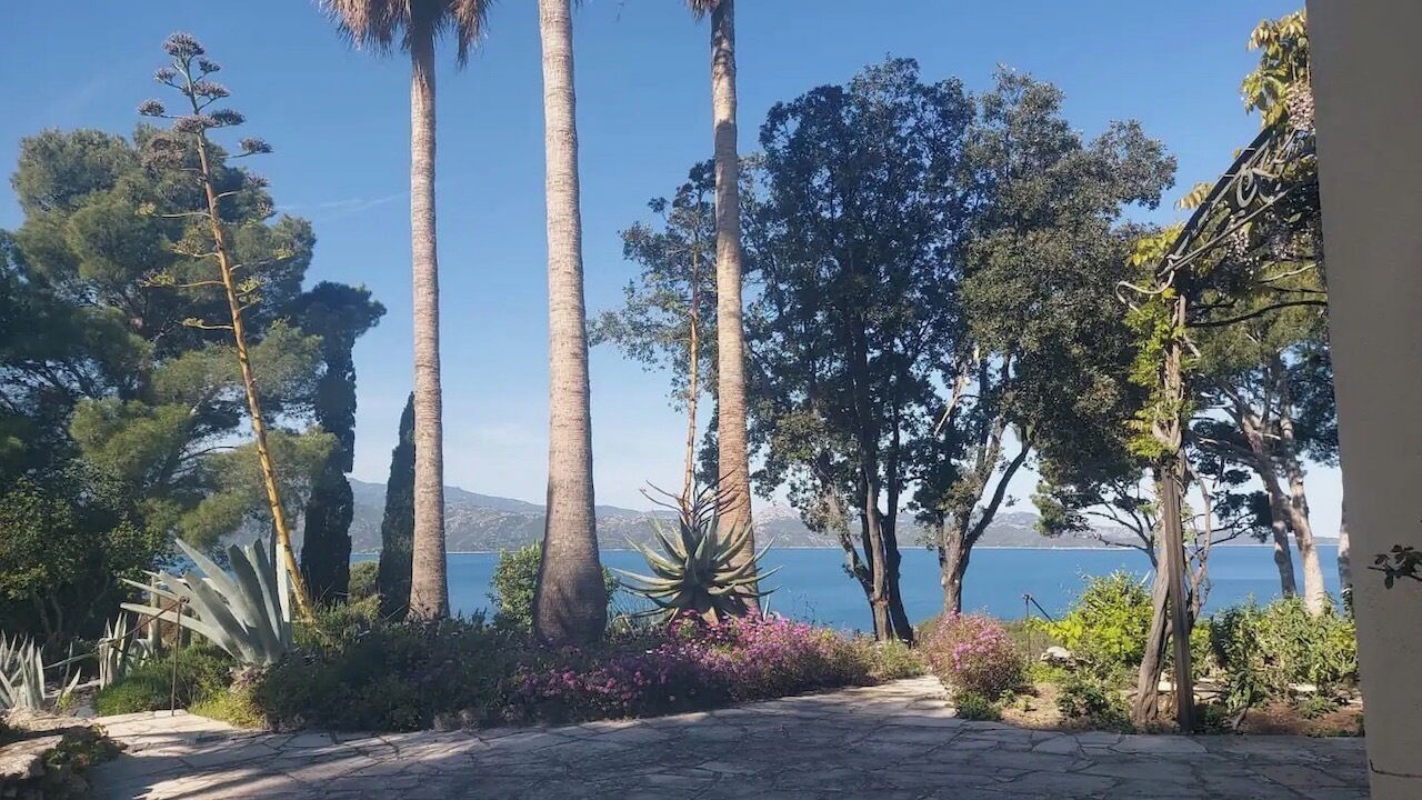 Photo of Outdoor in Patrimonio
