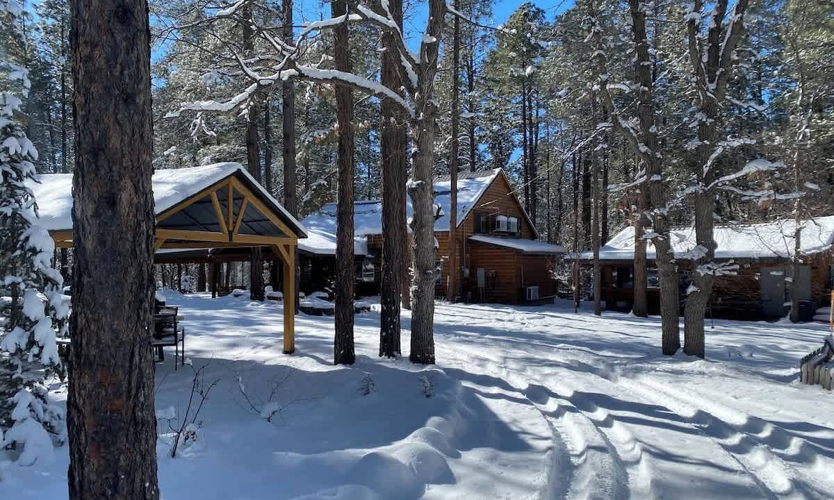 Photo of Outdoor in Show Low