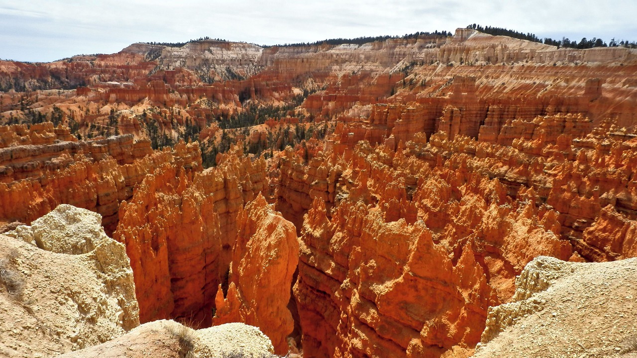 Photo of Others in Bryce Canyon