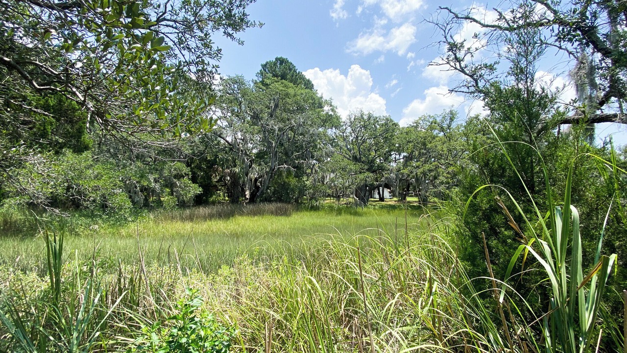 Photo of Others in West Ashley