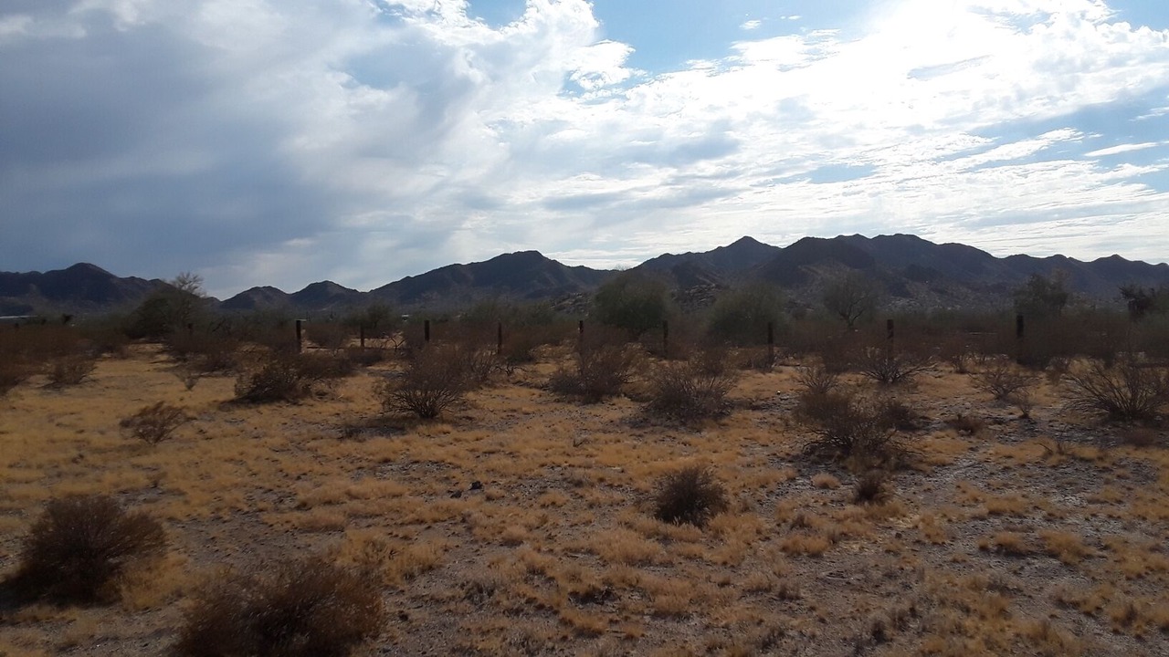 Photo of Outdoor in Maricopa