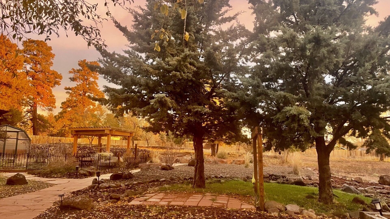 Photo of Others in Flagstaff