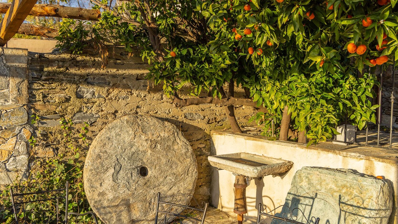Photo of Outdoor in Porri