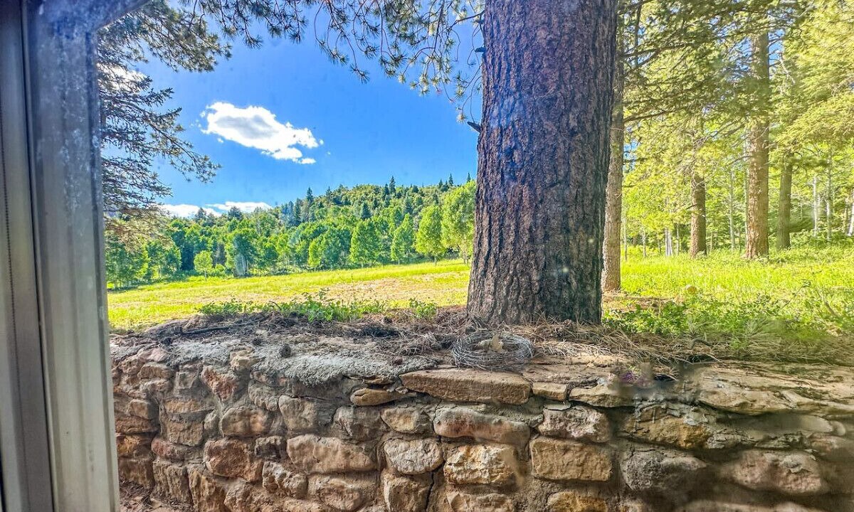Photo of Others in Duck Creek Village