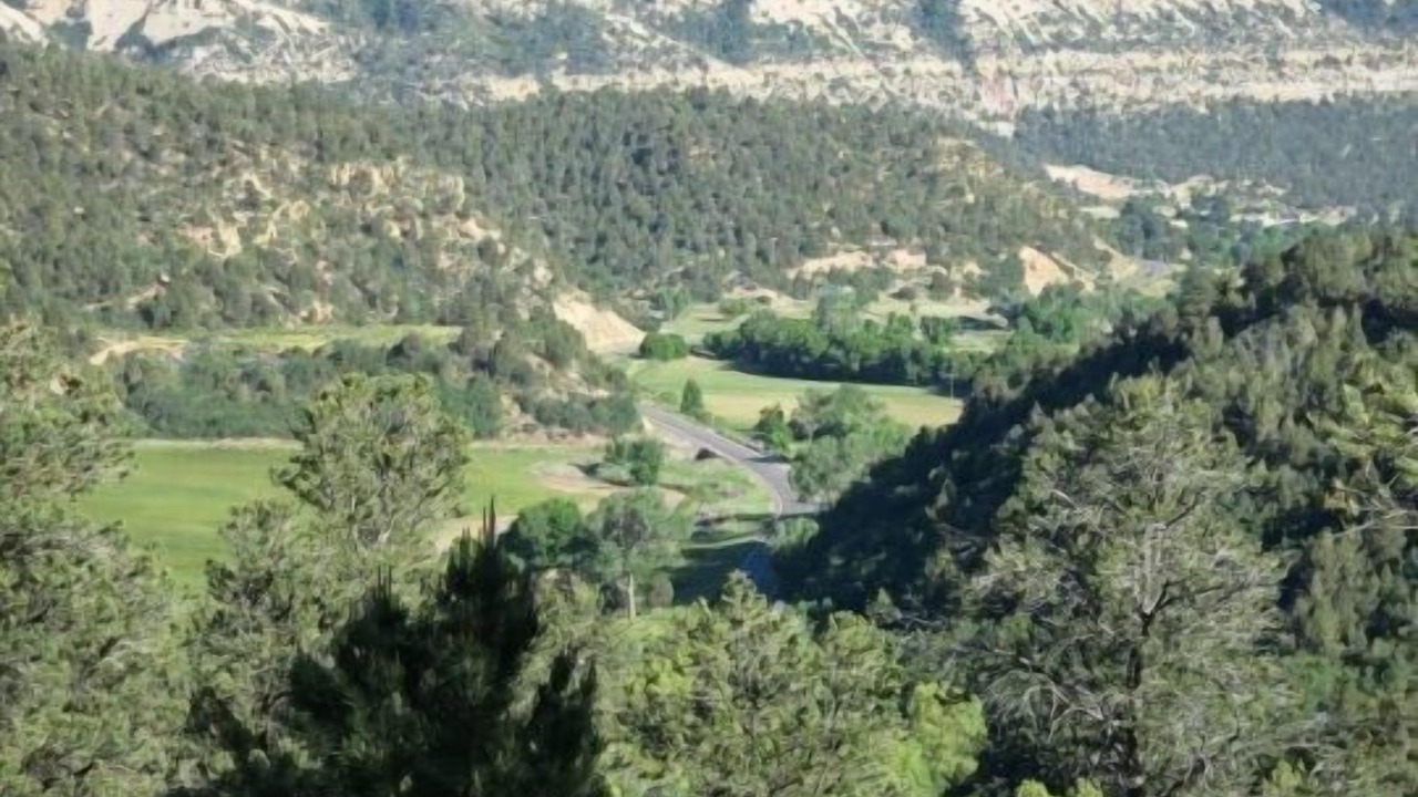 Photo of Others in Glendale