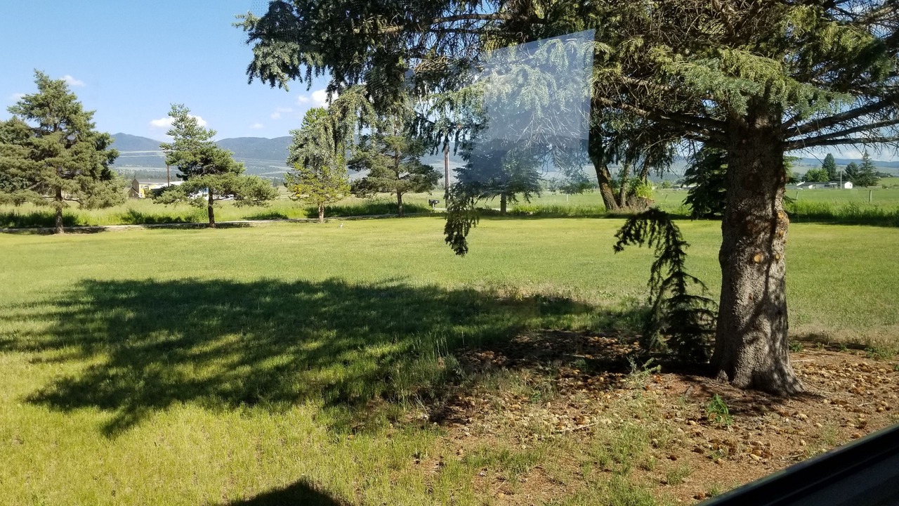 Photo of Outdoor in Corvallis