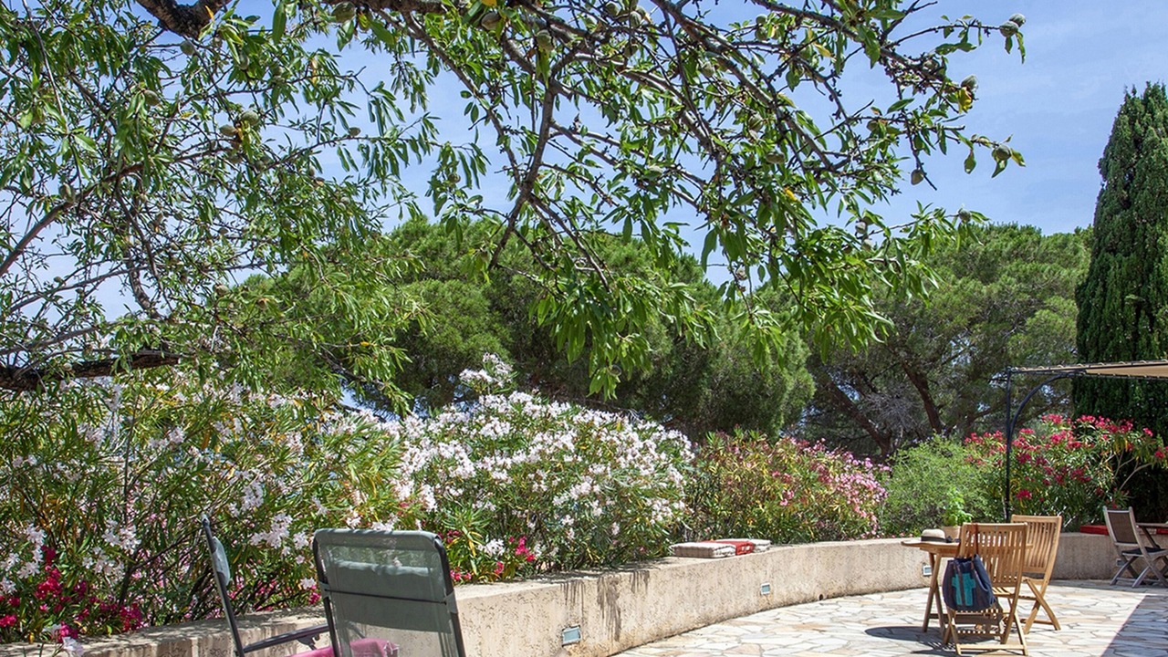 Photo of Patio Balcony in Marine de Davia