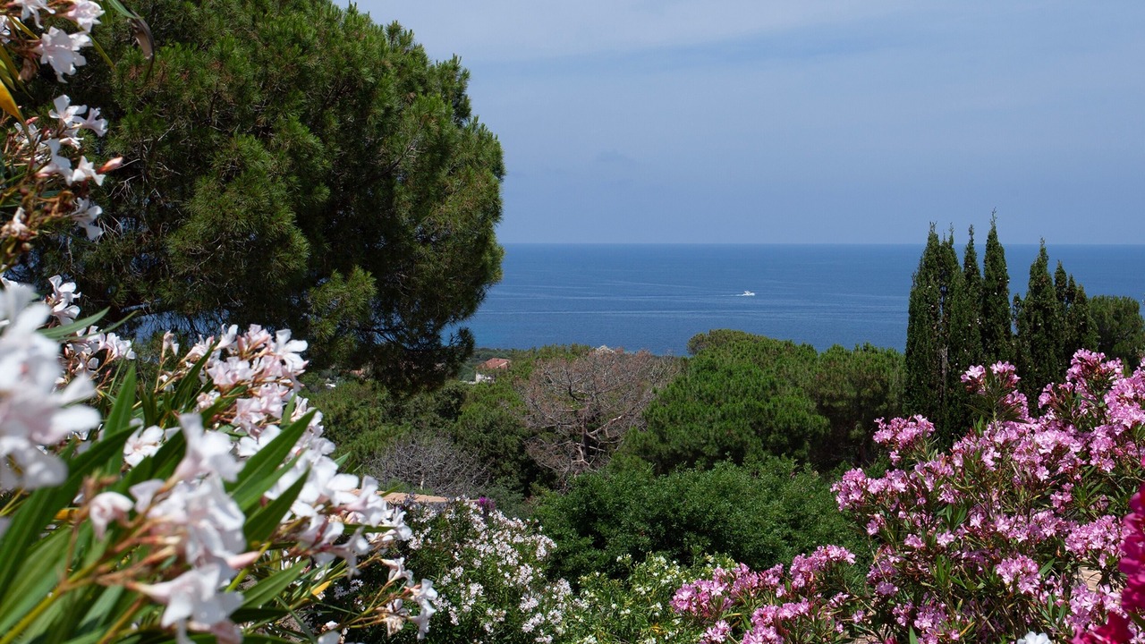 Photo of Outdoor in Marine de Davia