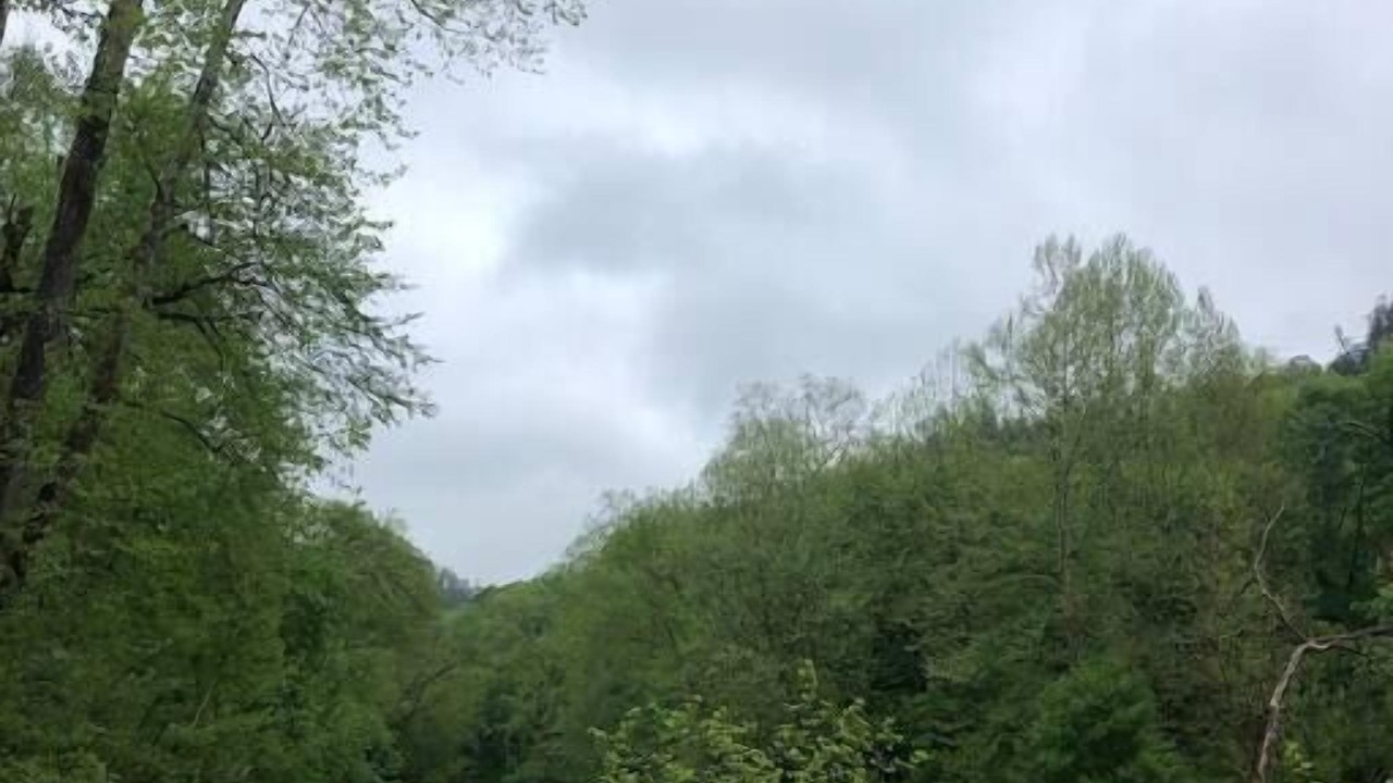 Photo of Outdoor in Denniston