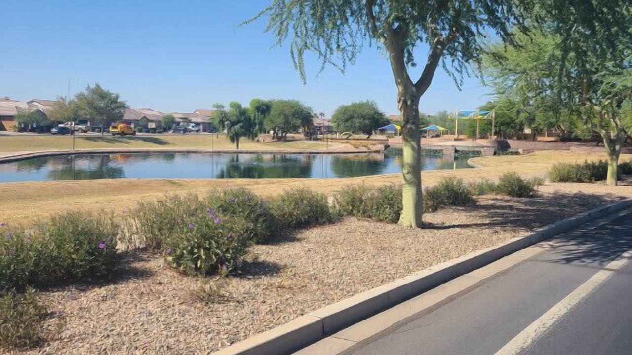 Photo of Others in Maricopa