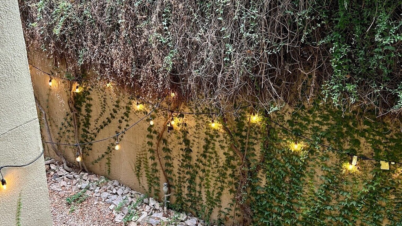 Photo of Outdoor in Tucson