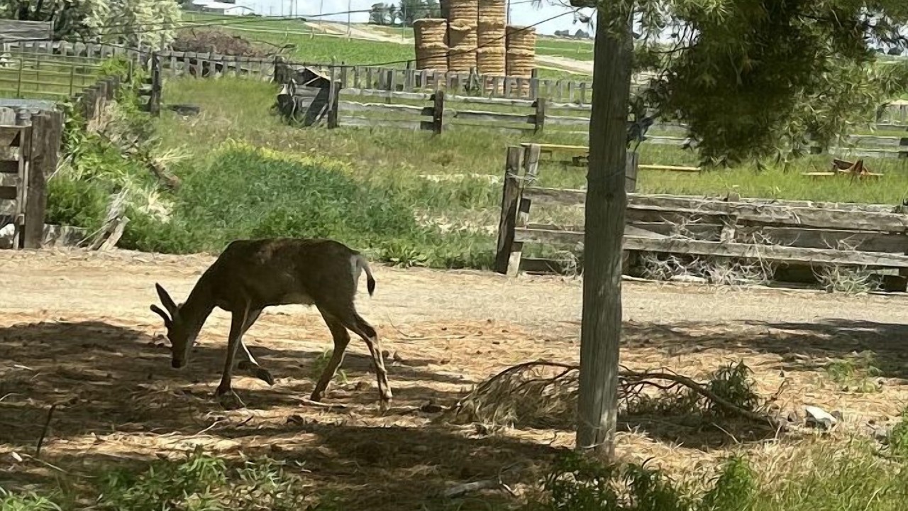Photo of Outdoor in Minidoka County
