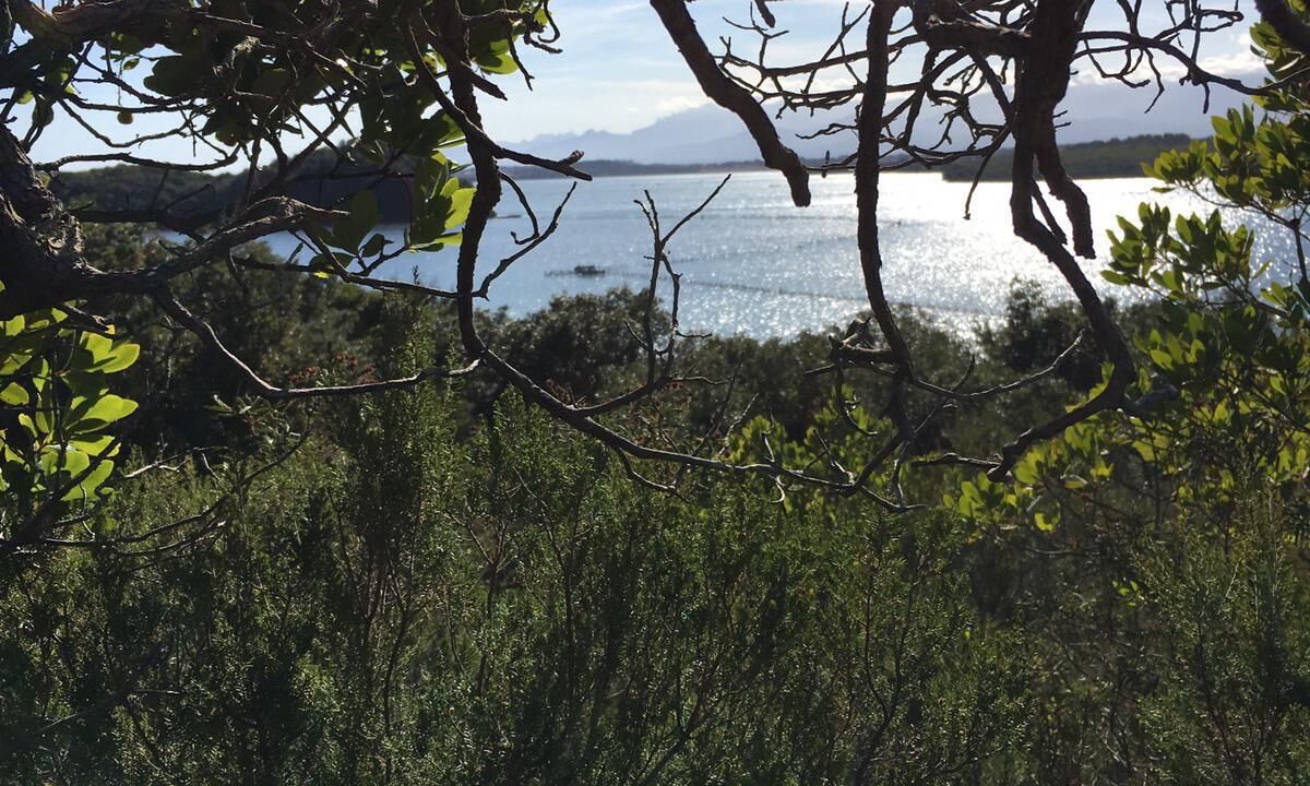 Photo of Others in Santa-Lucia-di-Moriani