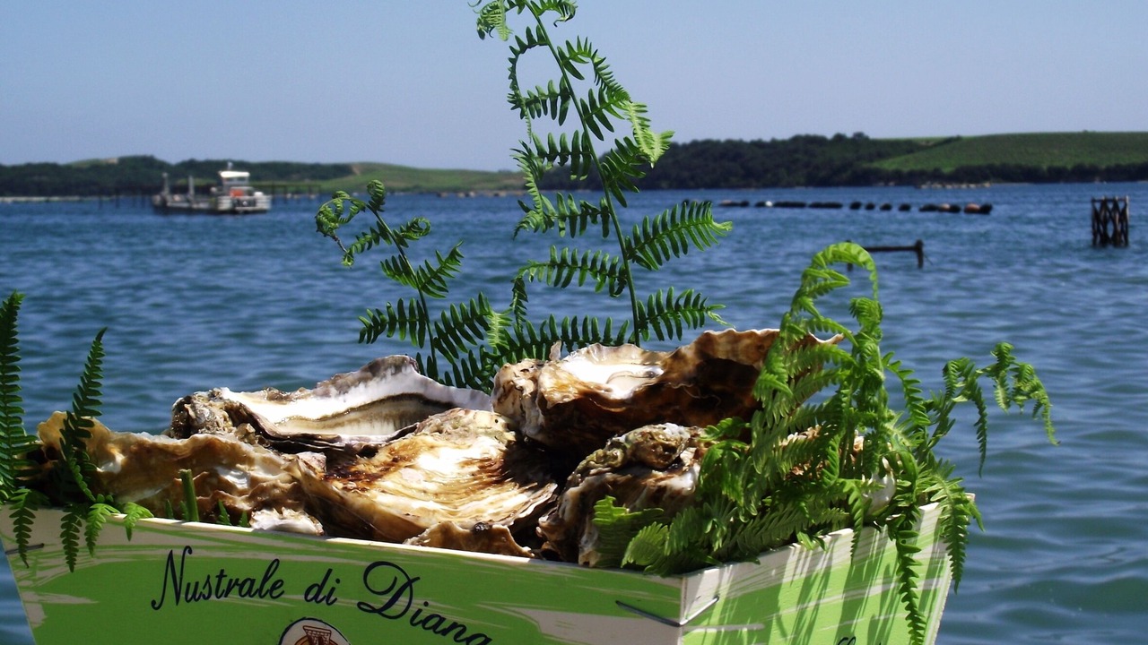 Photo of Outdoor in Santa-Lucia-di-Moriani