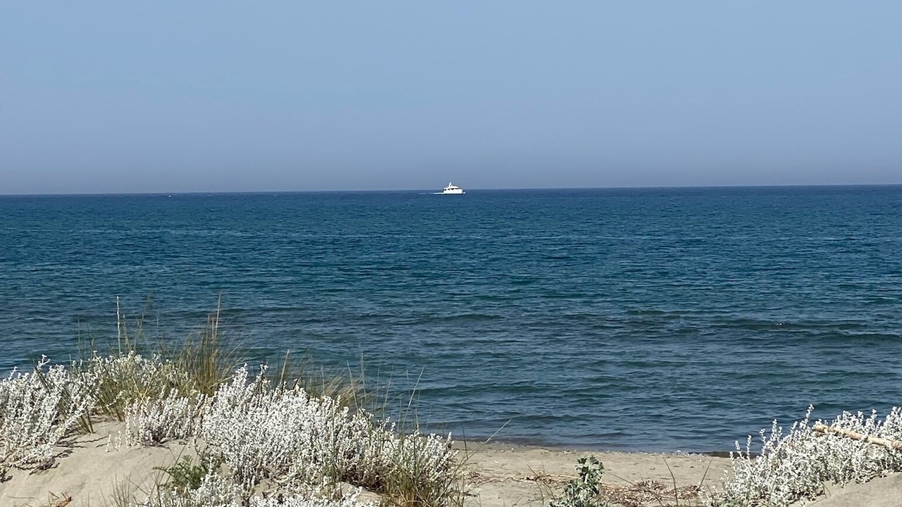 Photo of Others in Venzolasca