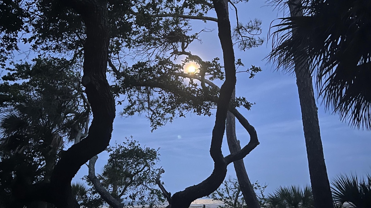 Photo of Outdoor in Jeremy Cay