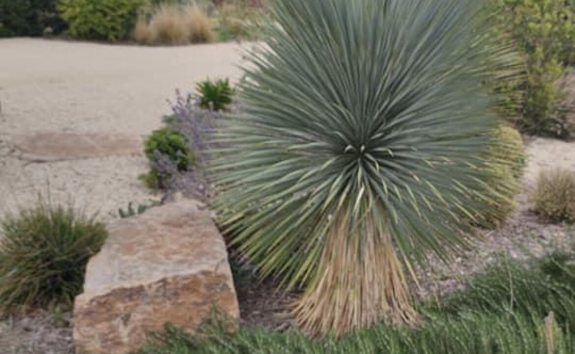 Photo of Outdoor in Palasca