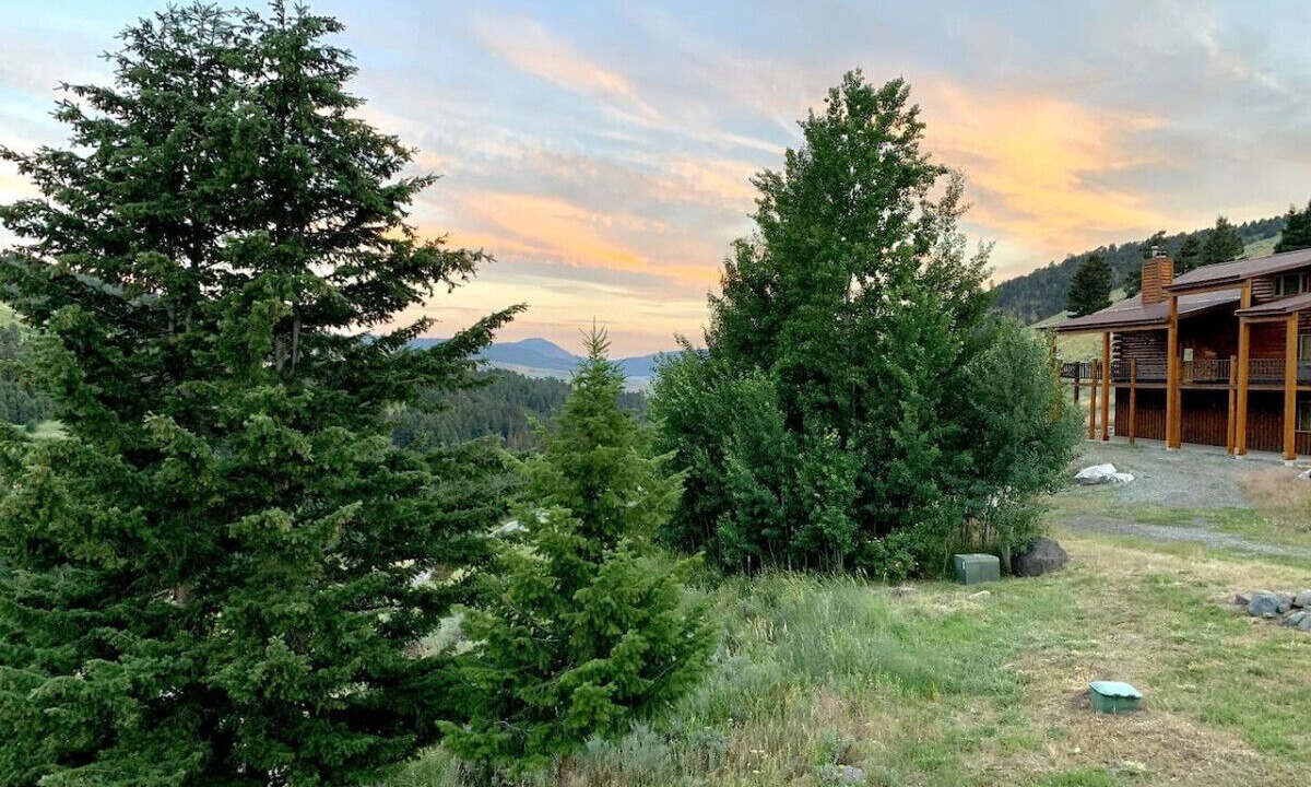 Photo of Outdoor in Jardine