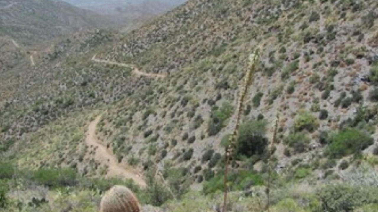 Photo of Outdoor in McDowell Mountain Ranch