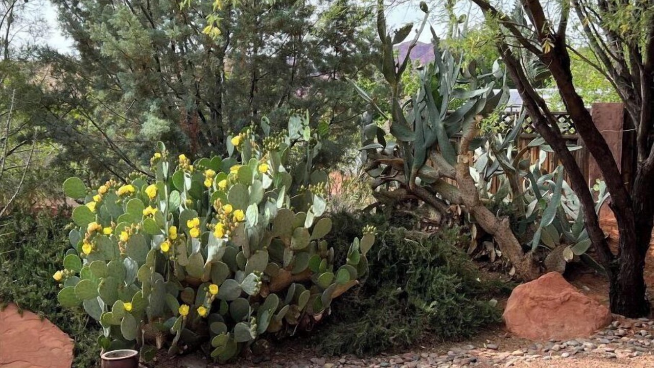 Photo of Outdoor in Ivins