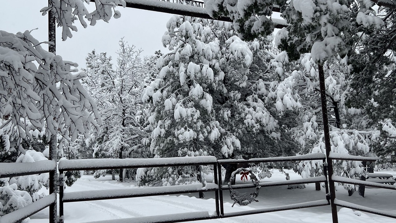 Photo of Outdoor in Payson