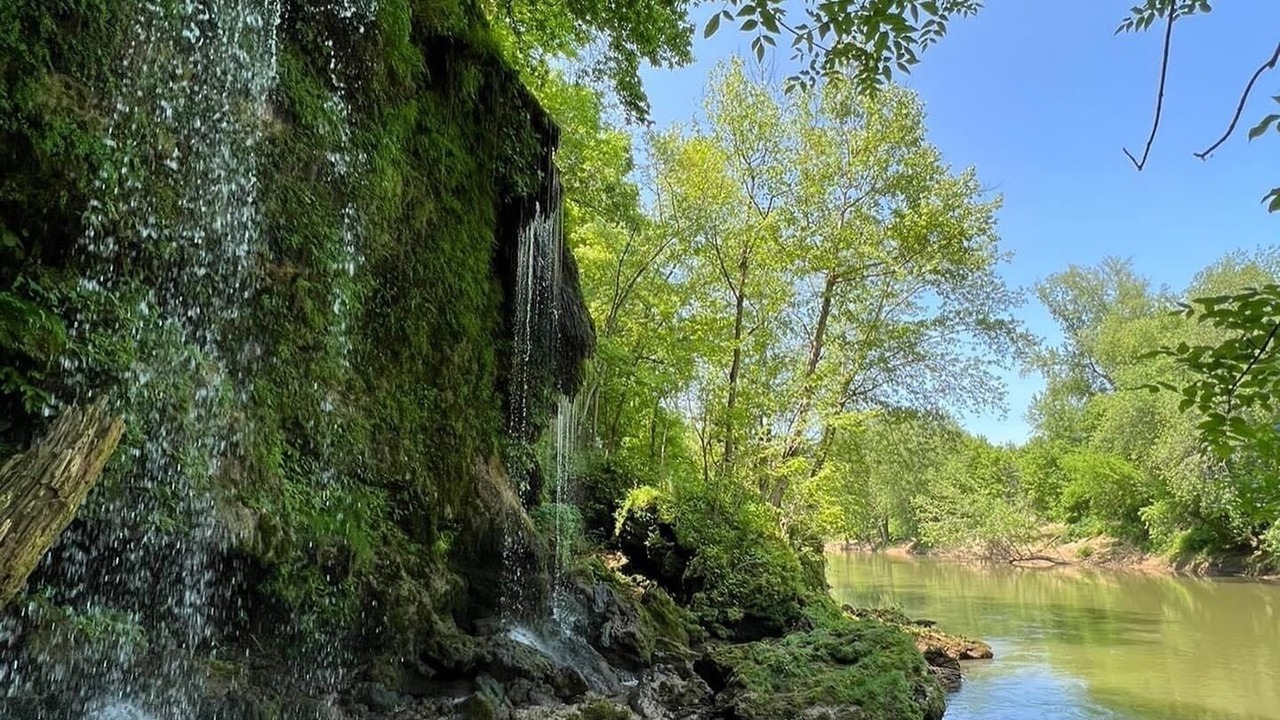 Photo of Others in Hardyville