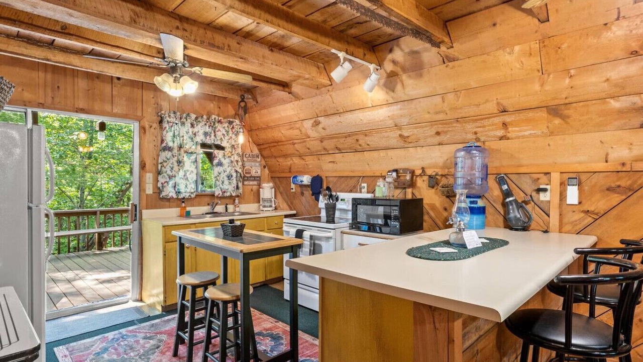 Photo of Kitchen in Wellington