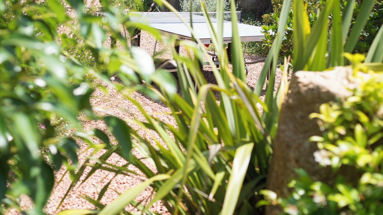 Photo of Outdoor in Sotta