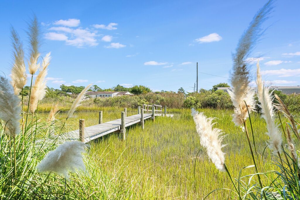 Photo of Others in Chincoteague