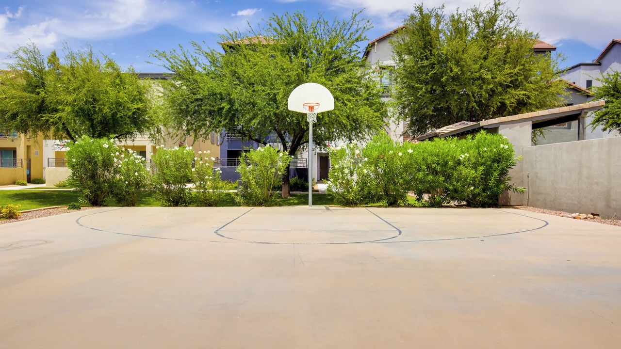 Photo of Others in Chandler