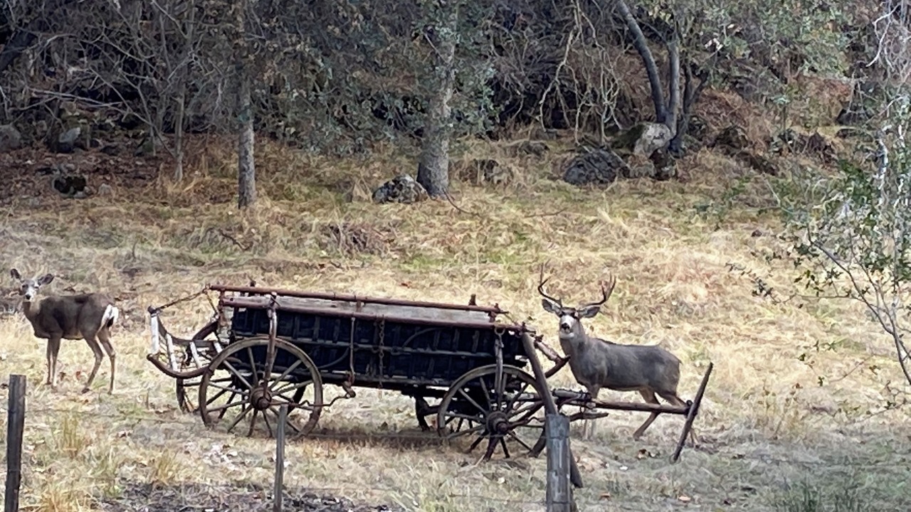Photo of Others in Three Rivers