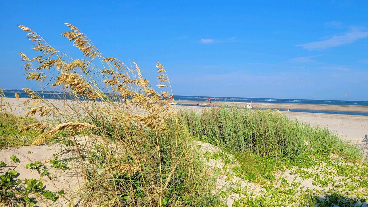 Photo of Others in Sullivan's Island