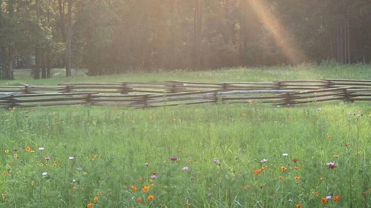 Photo of Outdoor in Rocky Point