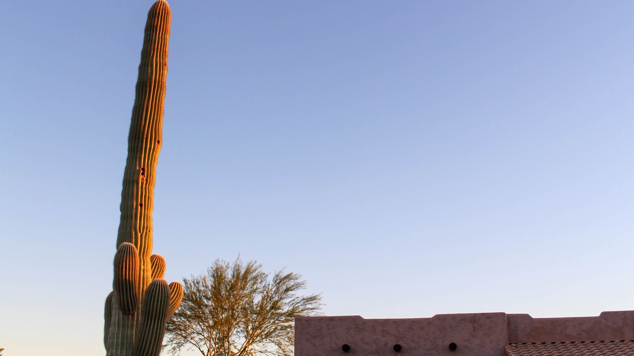 Photo of Outdoor in Wittmann