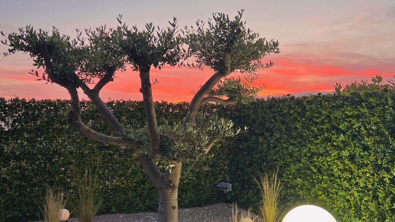 Photo of Outdoor in Albitreccia