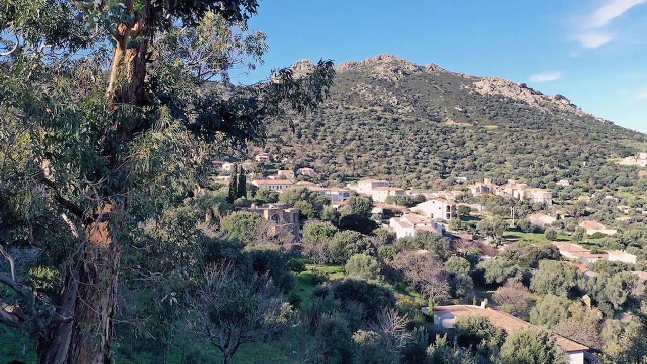 Photo of Outdoor in Santa-Reparata-di-Balagna