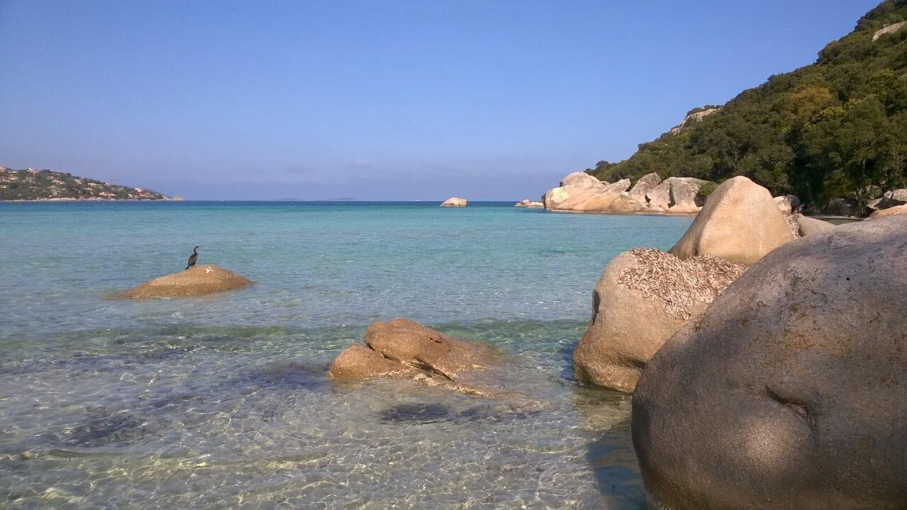 Photo of Others in Cala Rossa