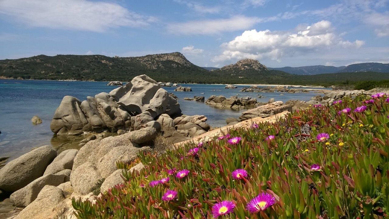 Photo of Others in Cala Rossa