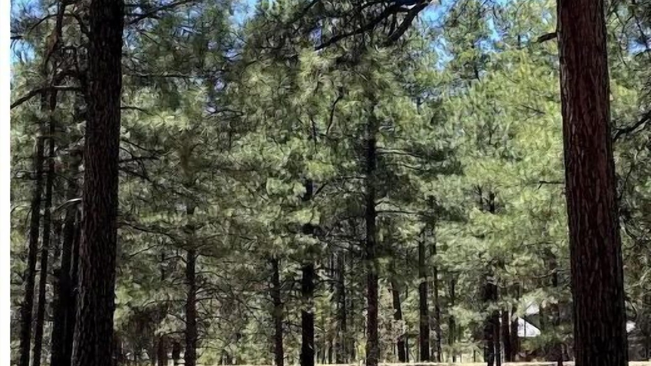 Photo of Outdoor in Alpine