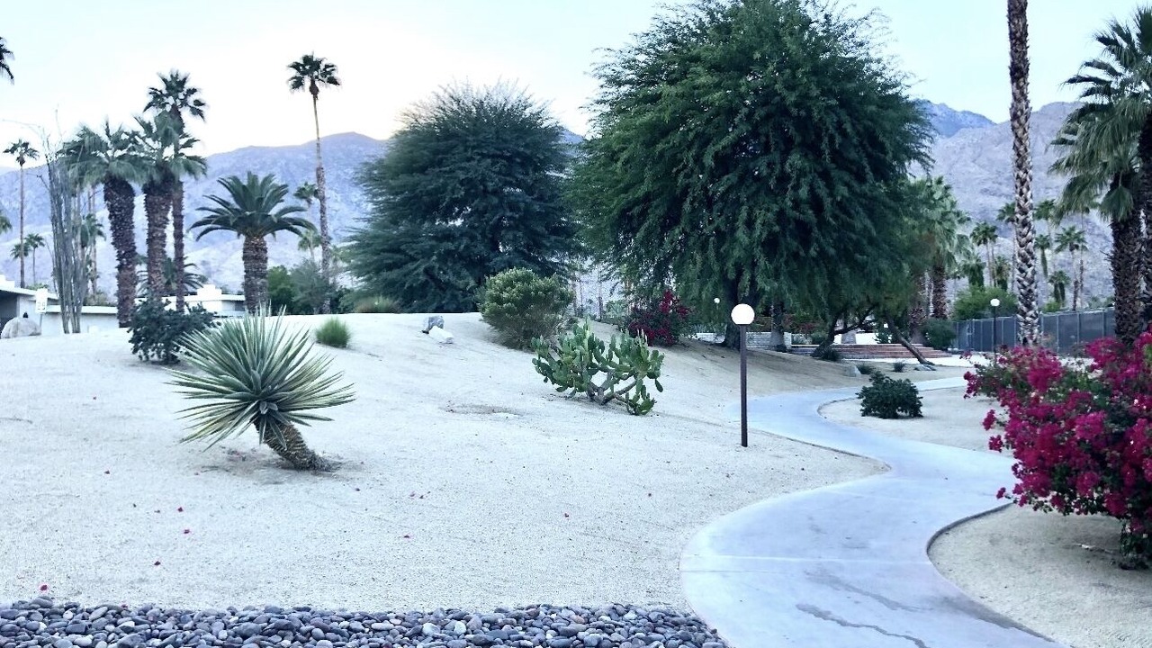 Photo of Others in Twin Palms