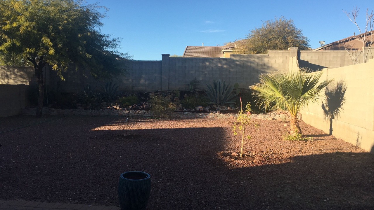 Photo of Outdoor in Saddlebrooke