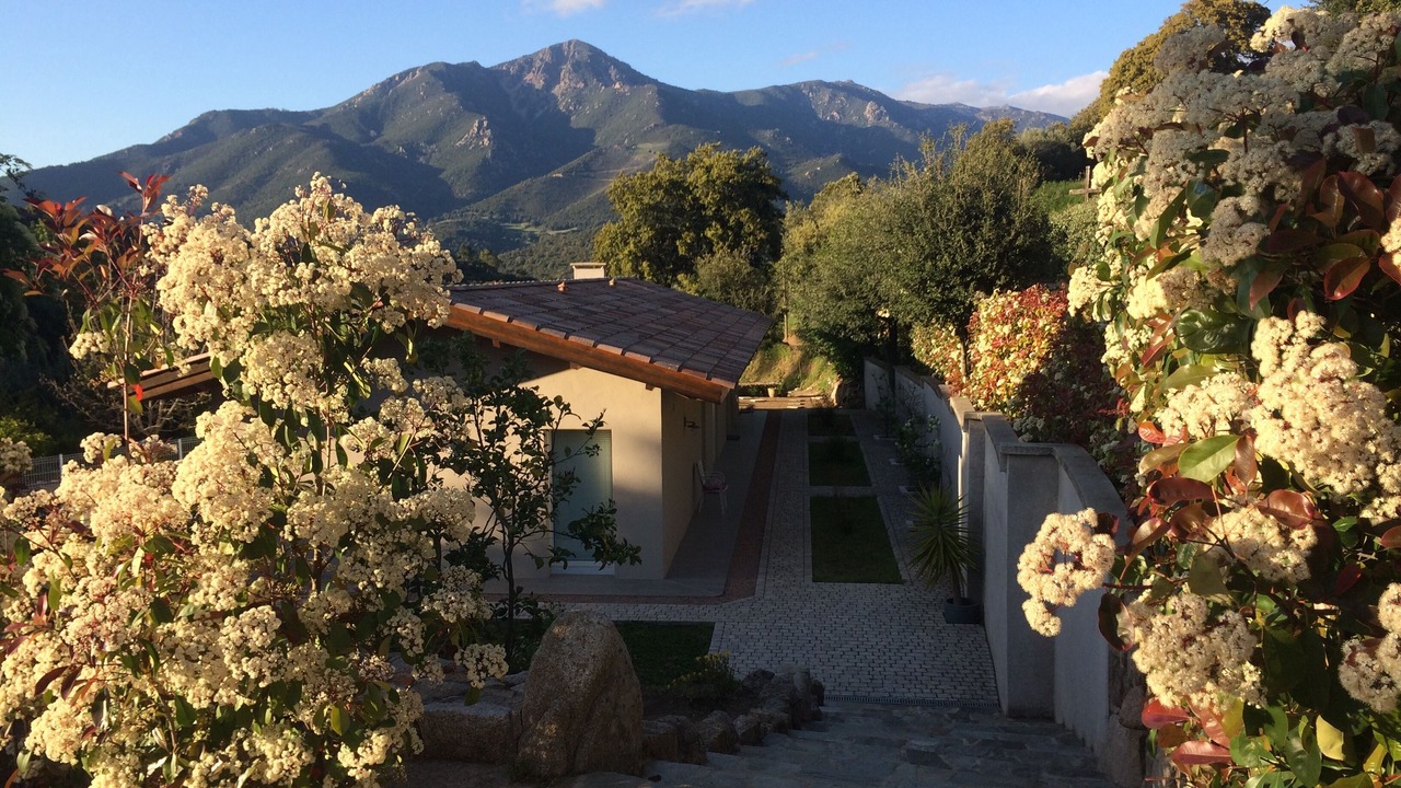 Photo of Outdoor in Eccica-Suarella