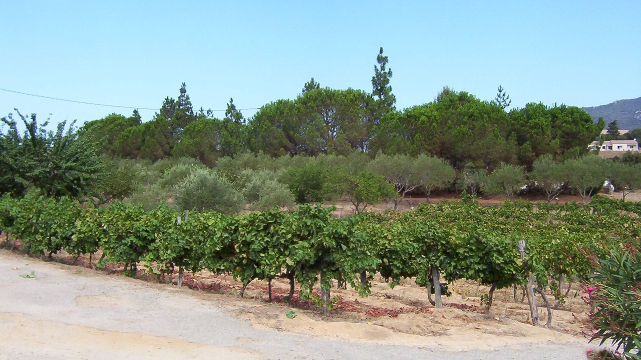 Photo of Outdoor in Sartene