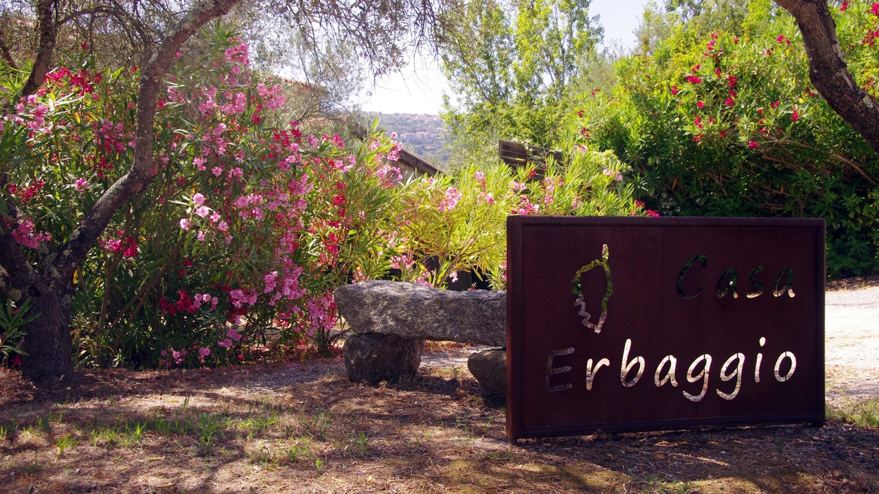 Photo of Outdoor in Sartene